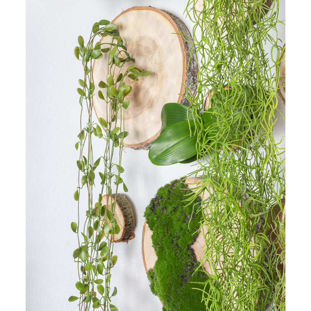 Фитостена 140(з.) (150хh200см)_26