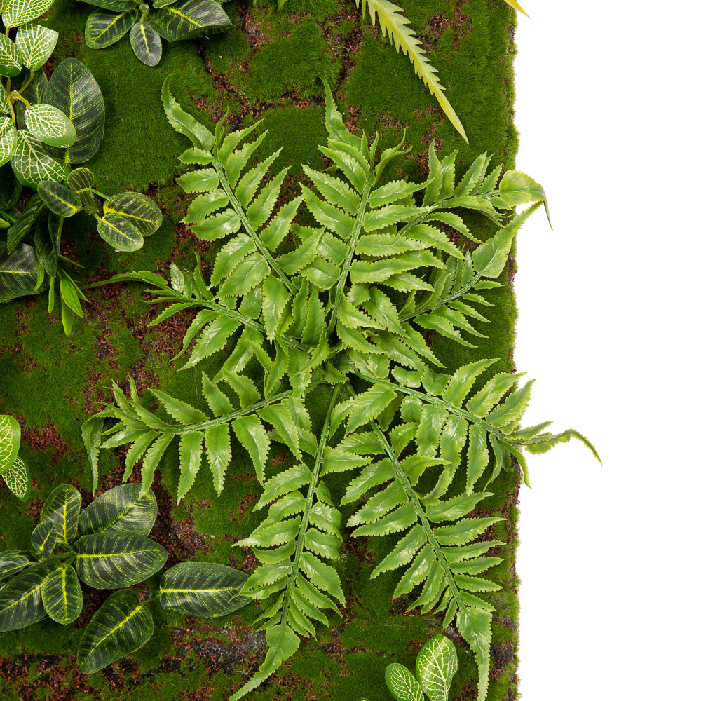 ФК03/5(з) Фитокартина зелень микс (140*h40)_2