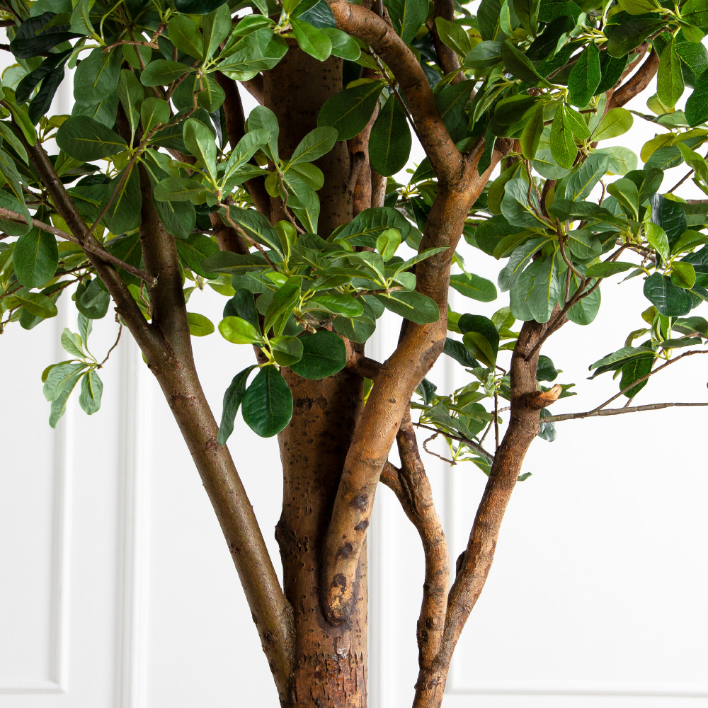 290/РН/84-1(з)(F)  Шеффлера искусственная h290 d160х65см на фанерн.основании d50_5