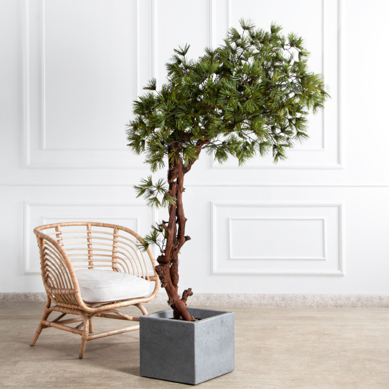 БС185/ОС/30-1(з)(F) Бонсай искусственный Сосна h185см_1