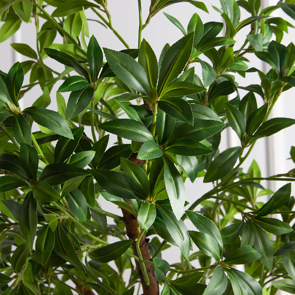 200/ВИТ/АСС/526(з)(F) Бересклет искусственный  h200см d130х80см, латекс_7