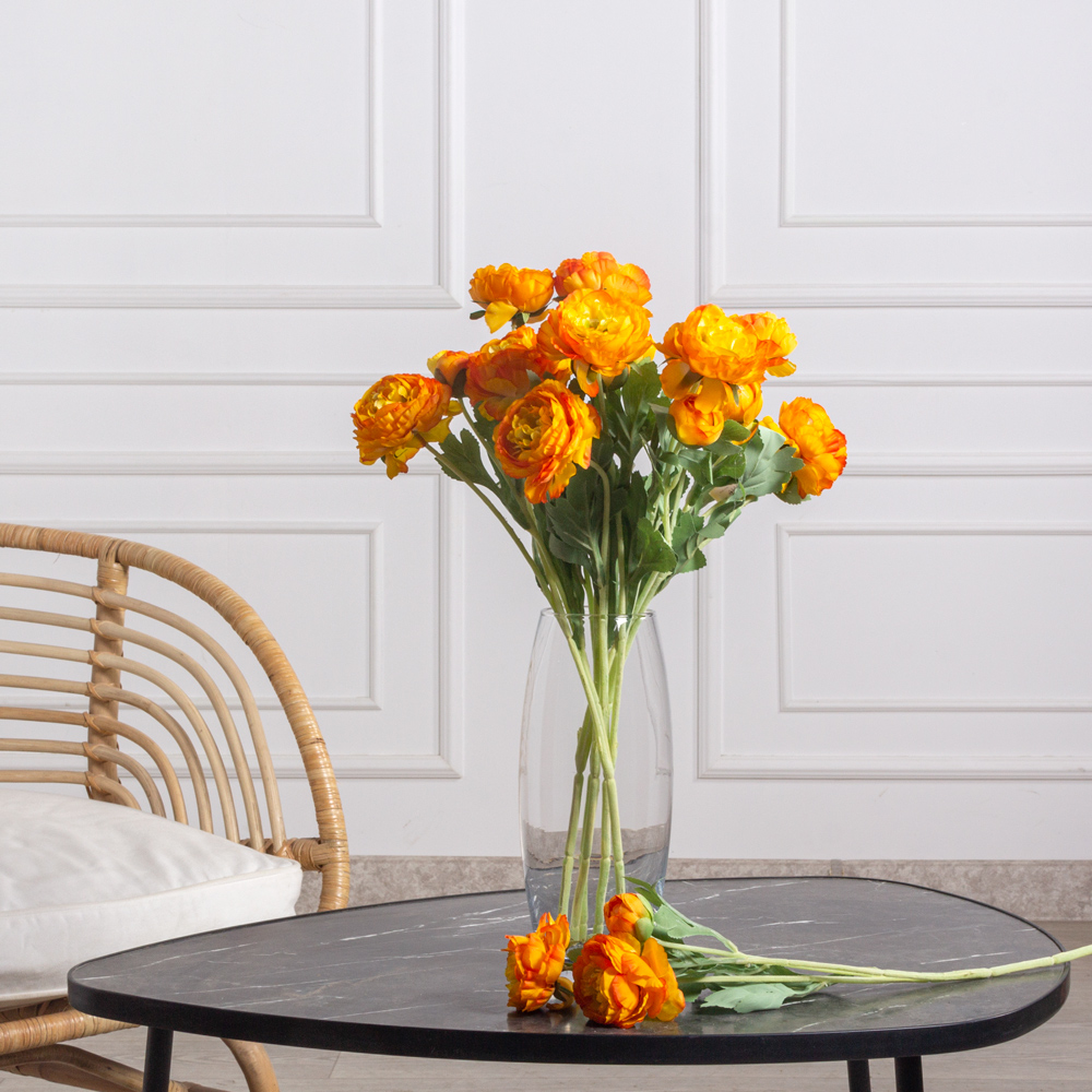 Растения осенние