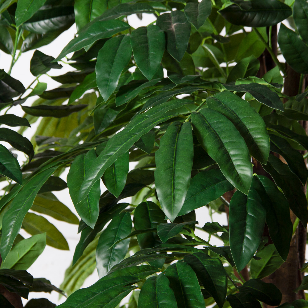 300/РН/220(Пр)(F) Манго искусственное h300см (латекс)_4