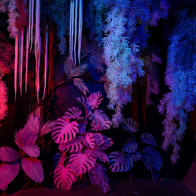 Фитостена 104 