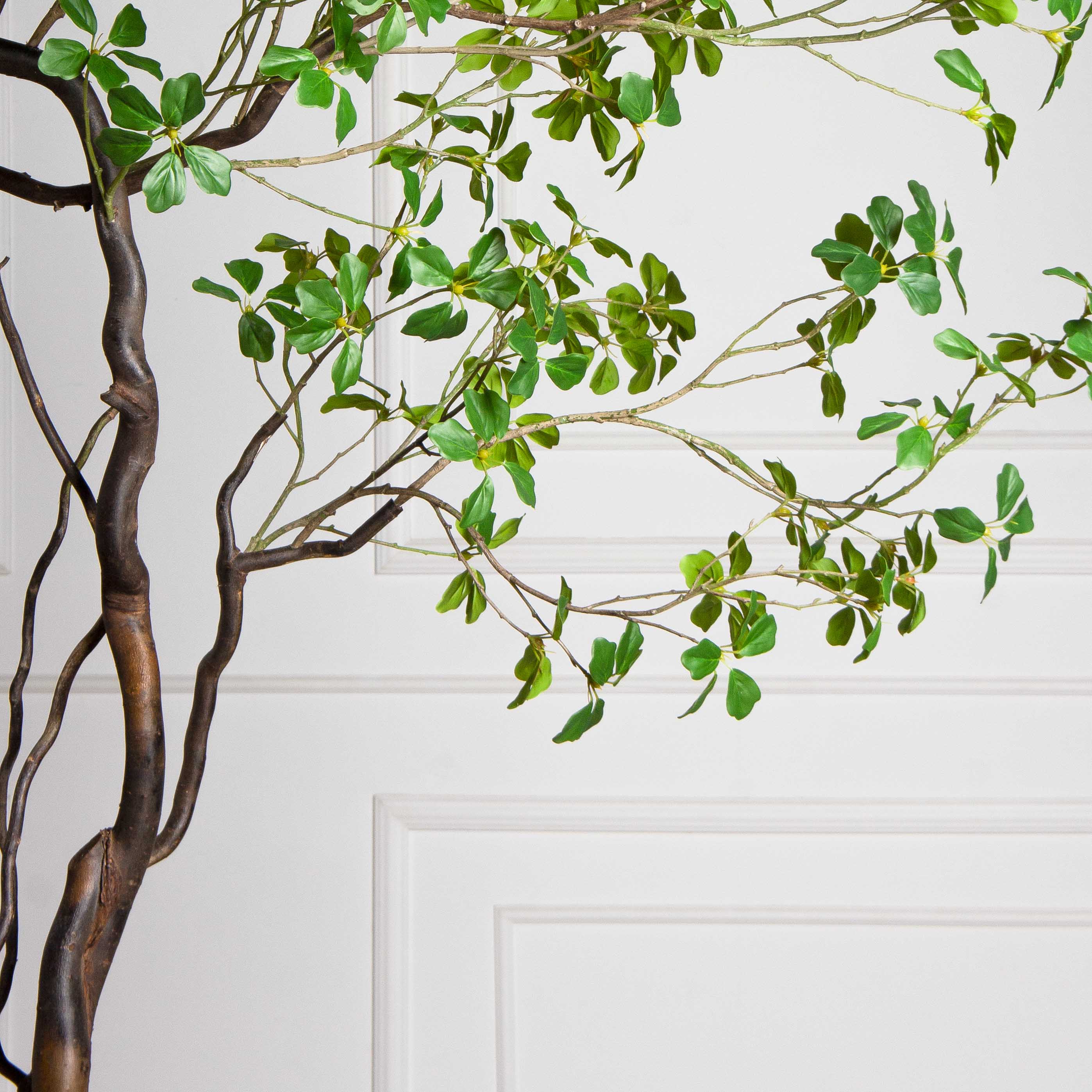 220/ВИТ/АСС/534(Пр)(F) Шеффлера искусственная Компакта  h220см_7