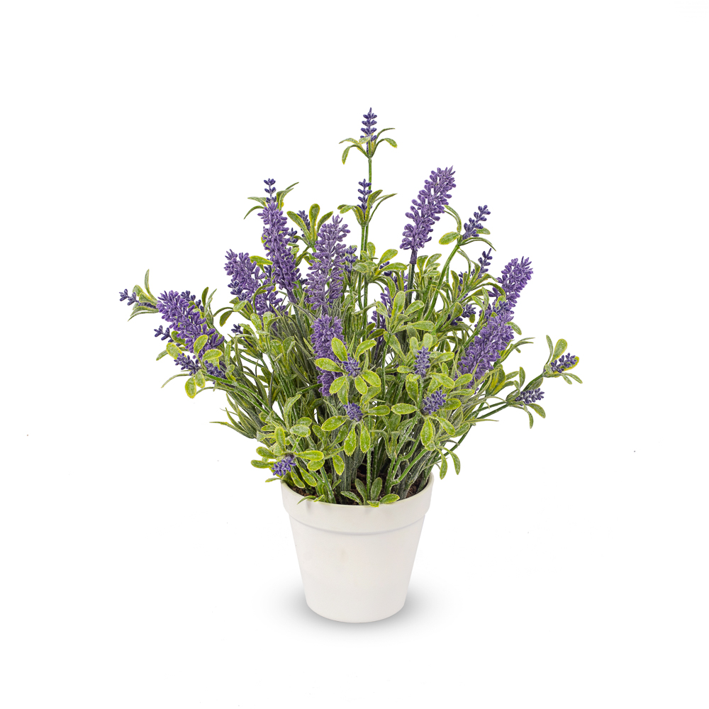 ЦС33/78-1 Лаванда  в горшке h33см d-11см