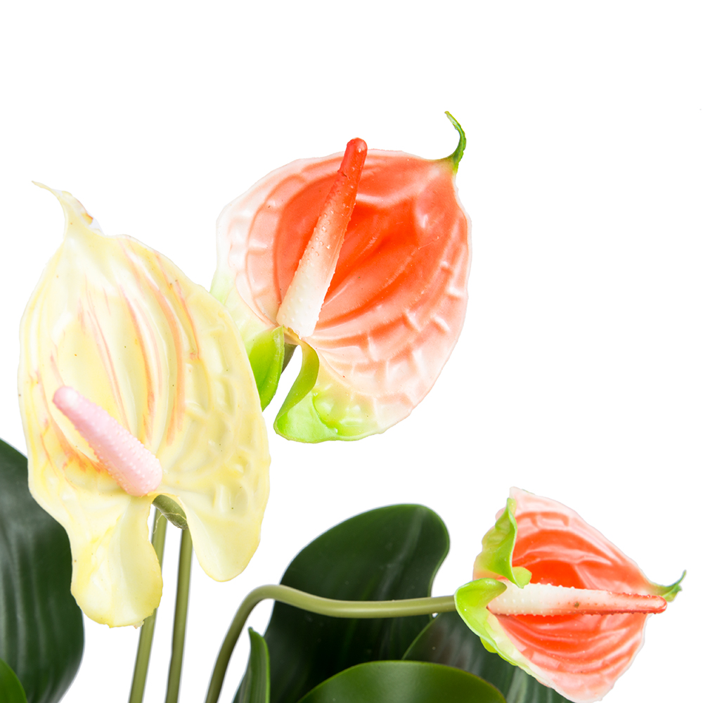 БК 23 Композиция с антуриумом на блоке 15*h10_3