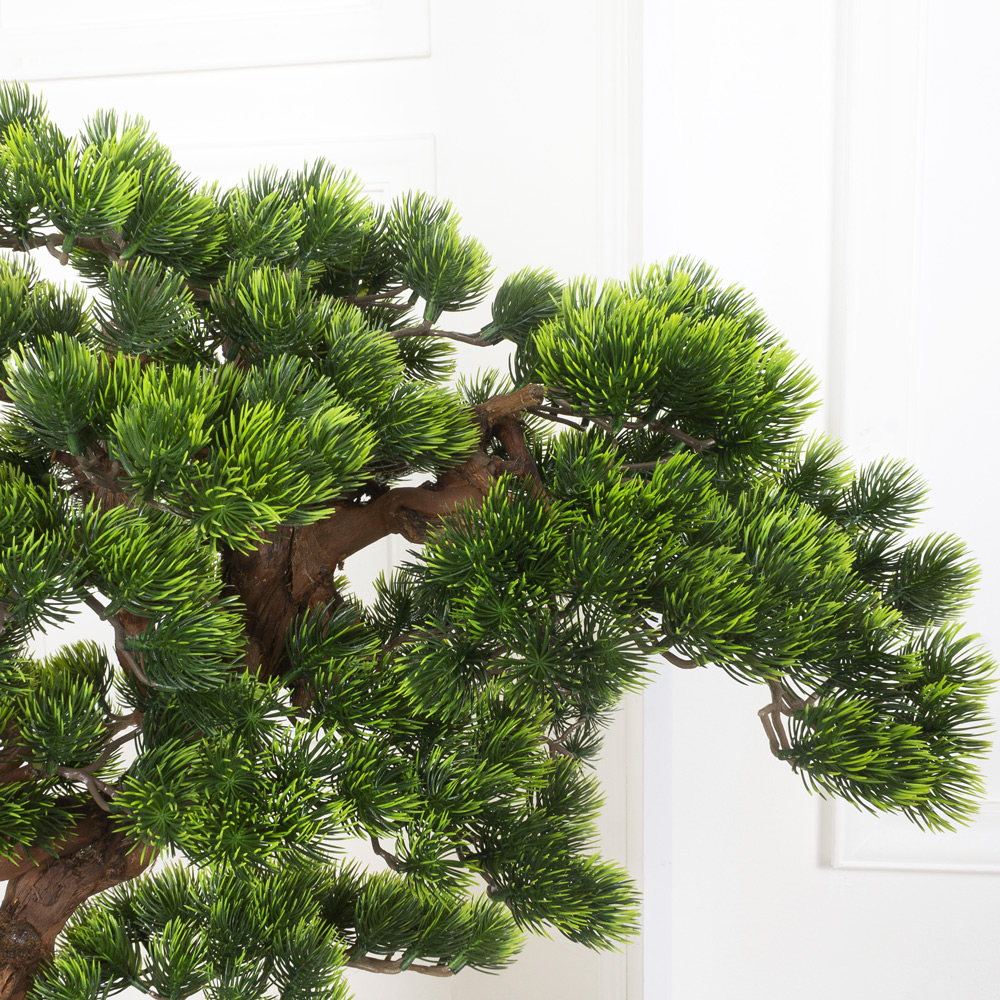 БС100/ОС/30(з.) Бонсай Сосна h100см на основании_9