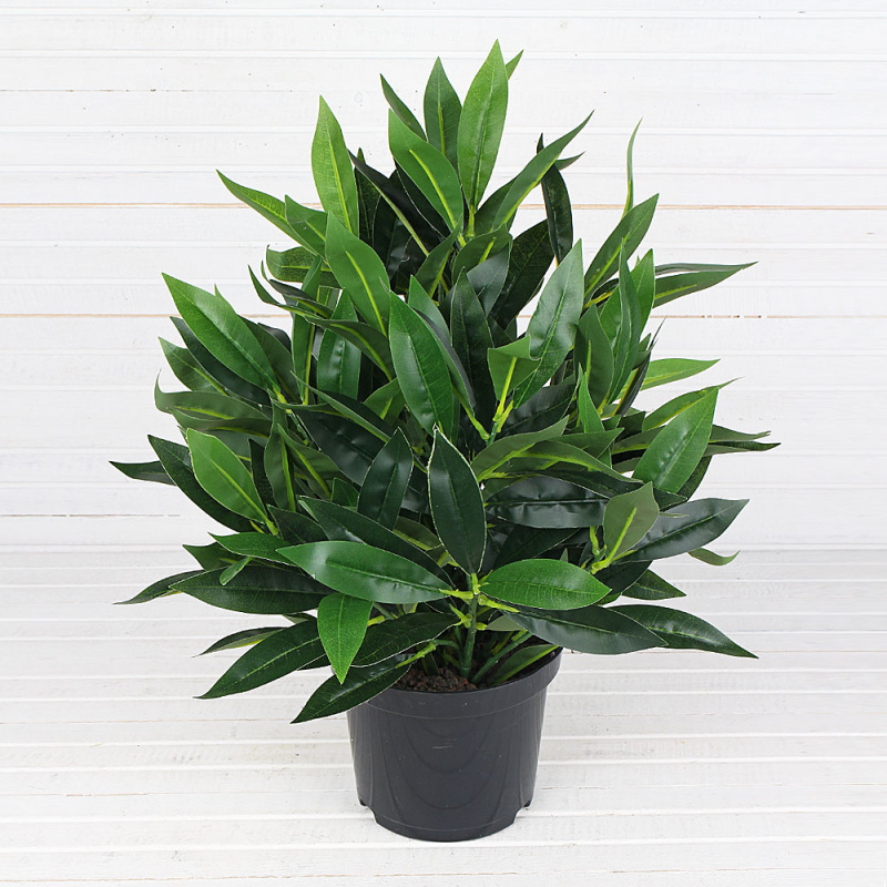 ЦС45/207 Лавр h33см(латекс) в кашпо