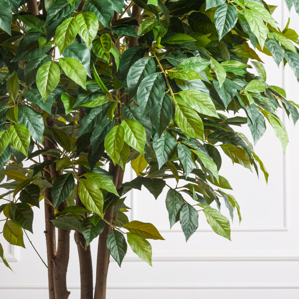 300/РН/537(з)(F) Липа искусственная h300см в кашпо (латекс)_1