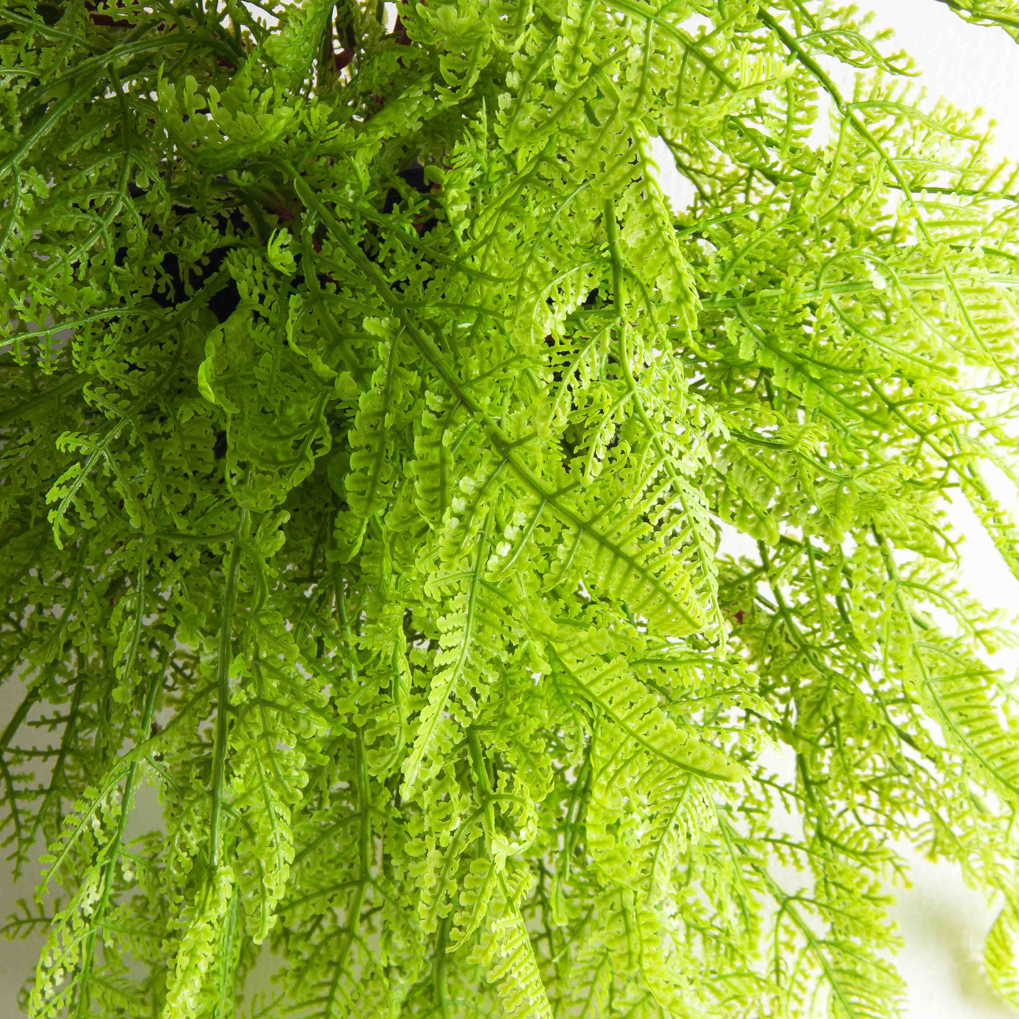 БК11(F) Композиция с папоротником Давалия на блоке 15*h10см_3