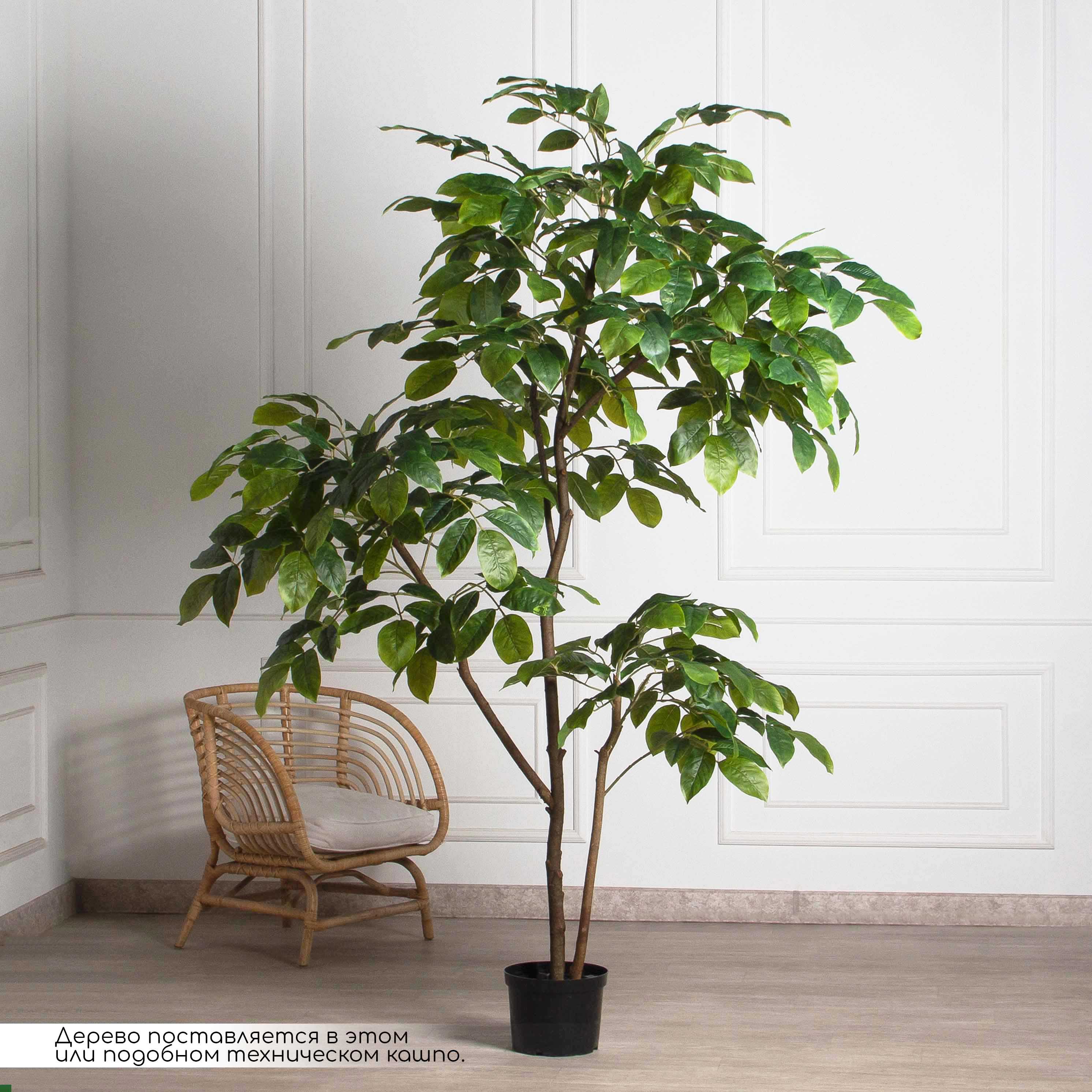 240/РН/АСС/618(Пр)(F) Магнолия искусственная h240см_2