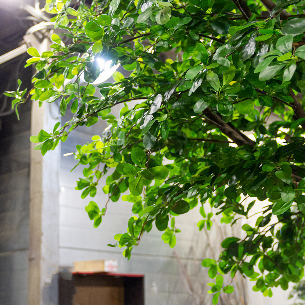 350разб/84-1(з) Шеффлера искусственная разборная h350см, d190см_5