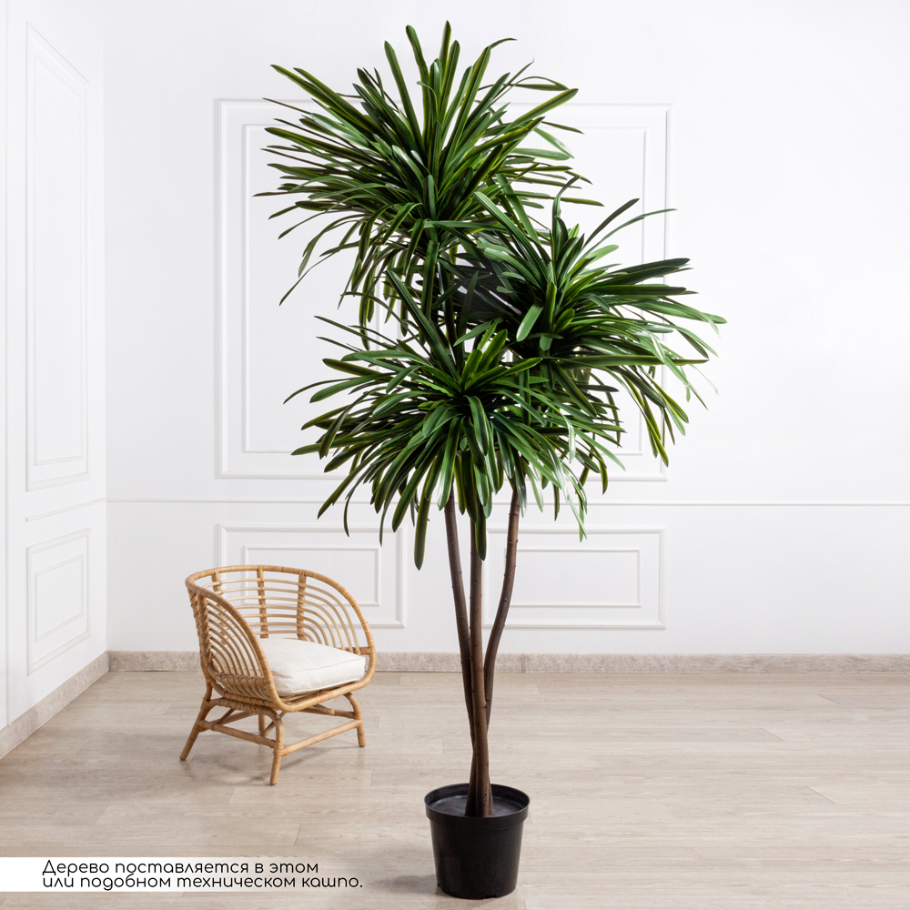 250/3К/608(з)(F) Драцена искусственная h250см, d120см_1