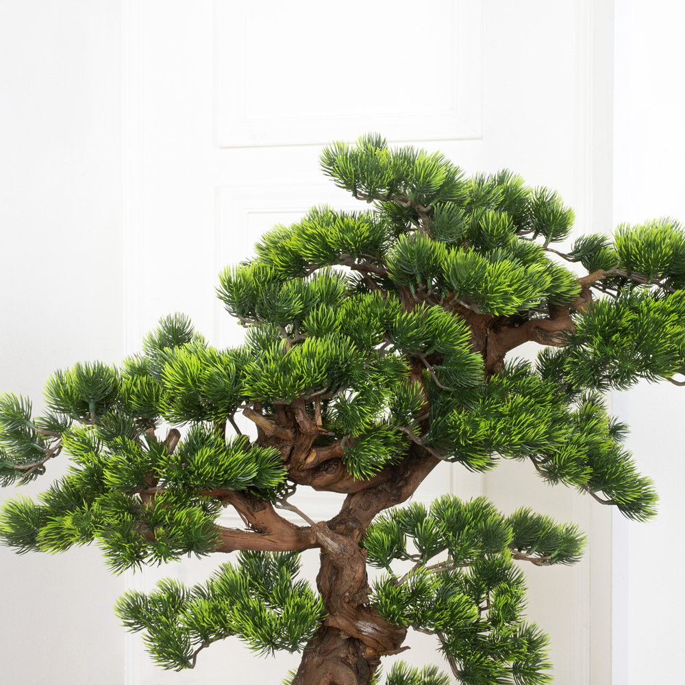 БС100/ОС/30(з.) Бонсай Сосна h100см на основании_8