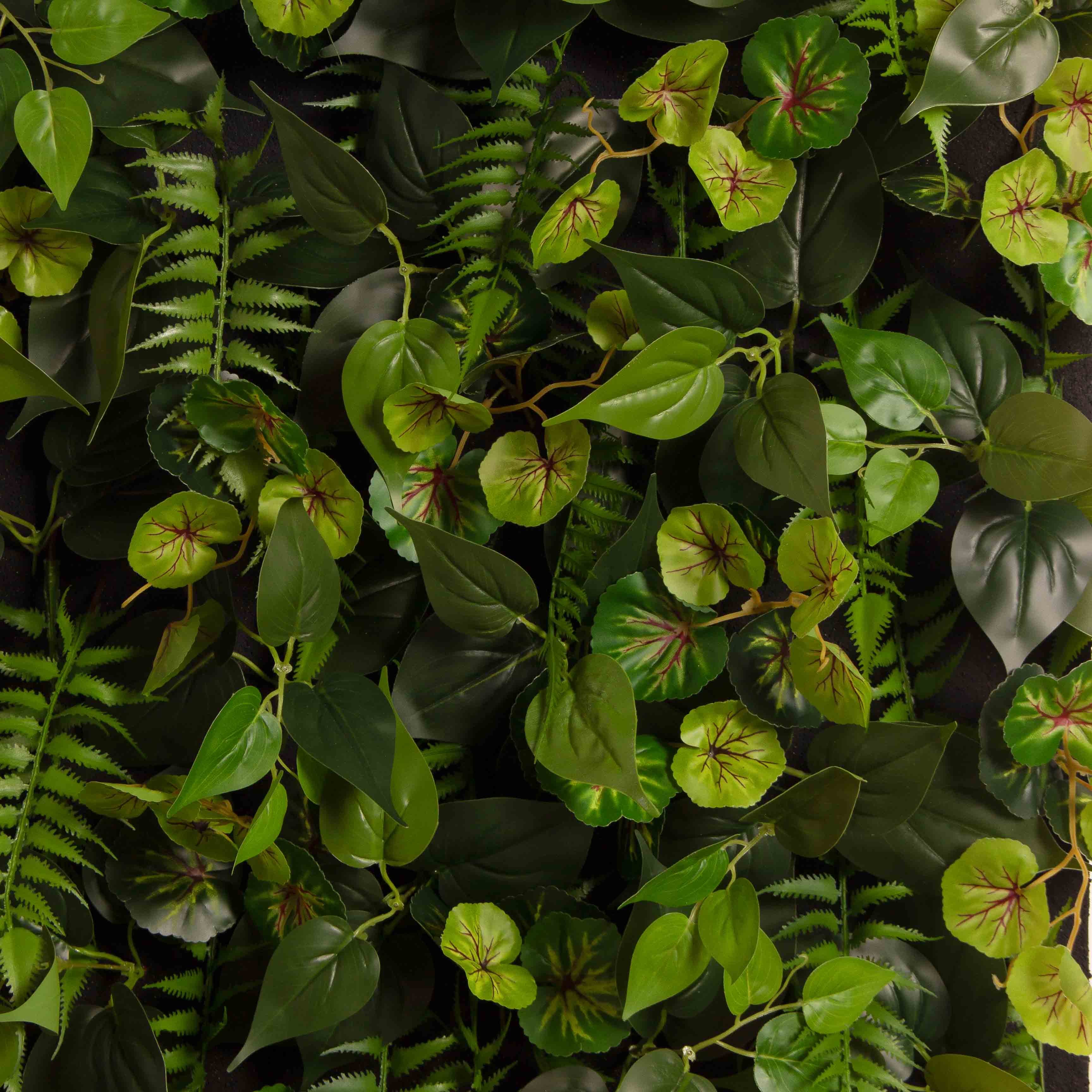 ФТС09/ЭК(F) Фитостена, за 1кв.м_8