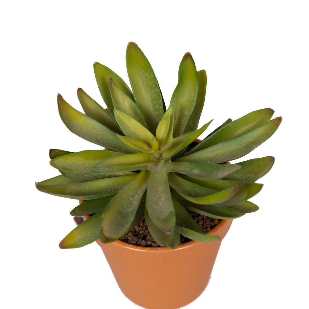 3eaa632f-6f23-4c86-82c7-dae893d8149a-1000x1000-1001x1001