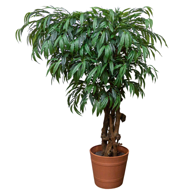 180/3Я/ОС/219(з) Лонгифолия искусственная h180 см