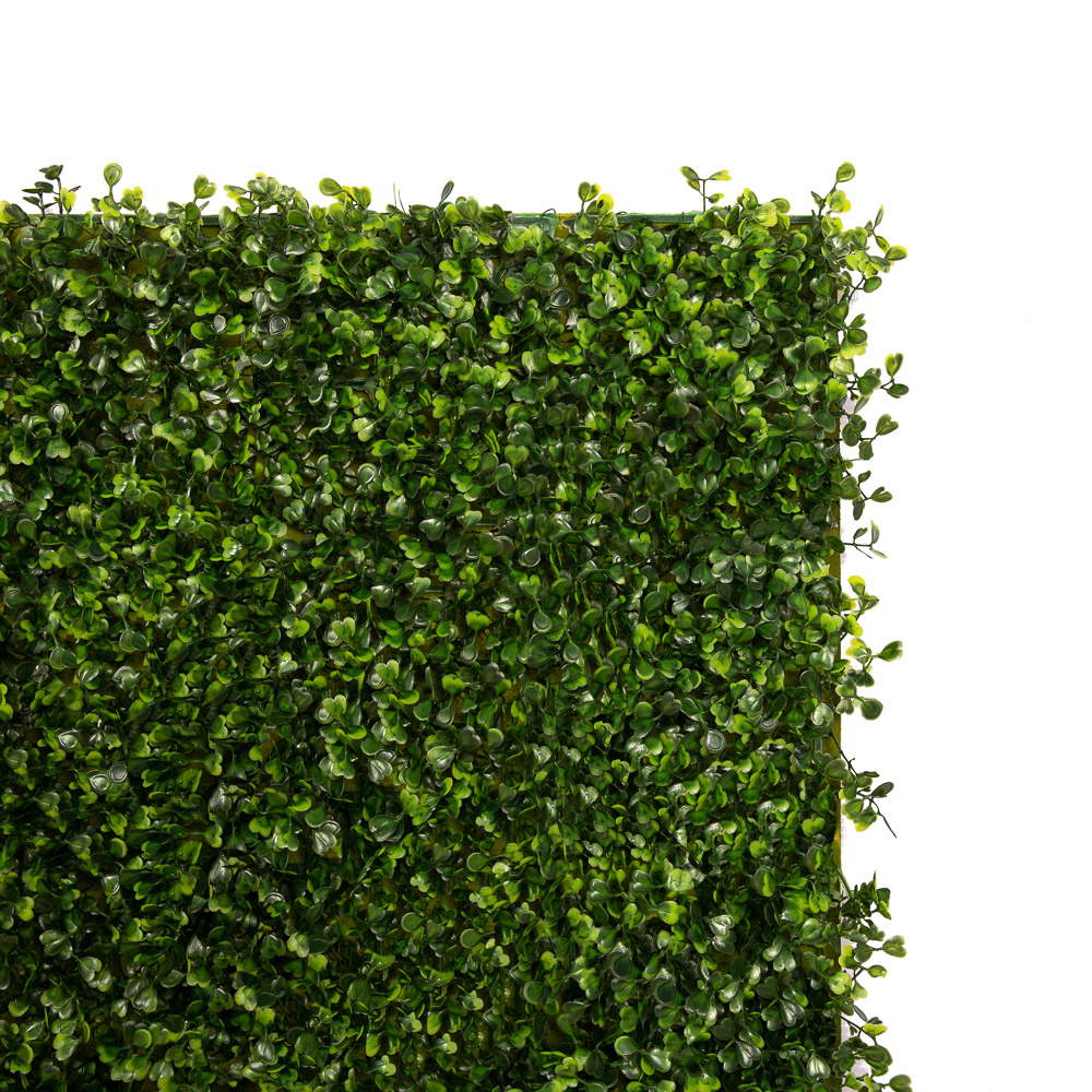 Фитостена 26(з.)_2