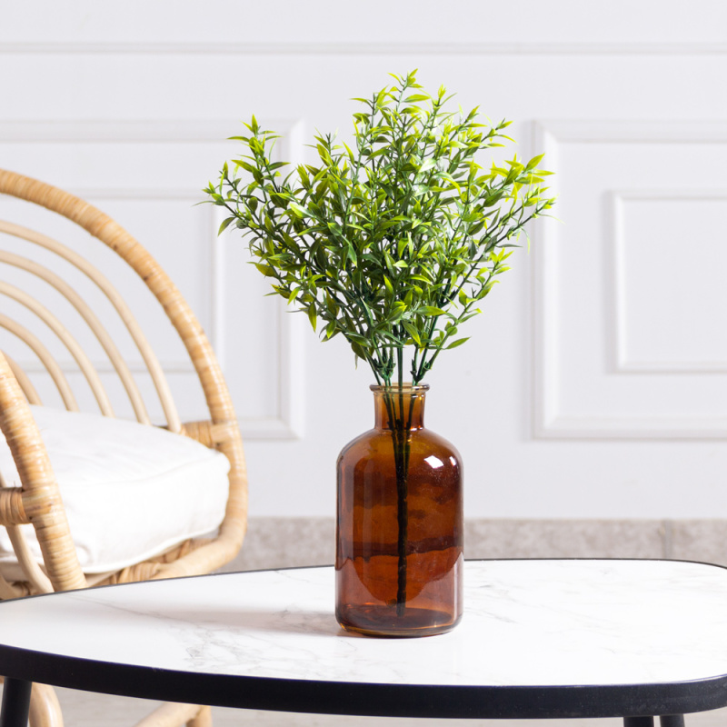 7143/0300-23(F) Аспарагус *7