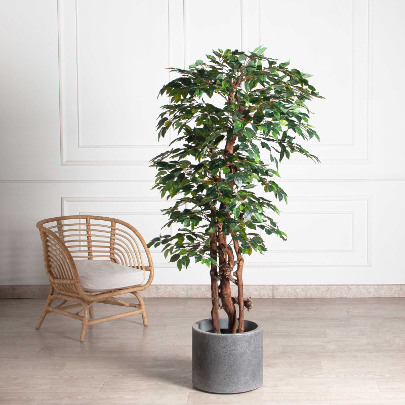 180/ОС/ССТ/34(F) Фикус искусственный h180см (латекс)_1