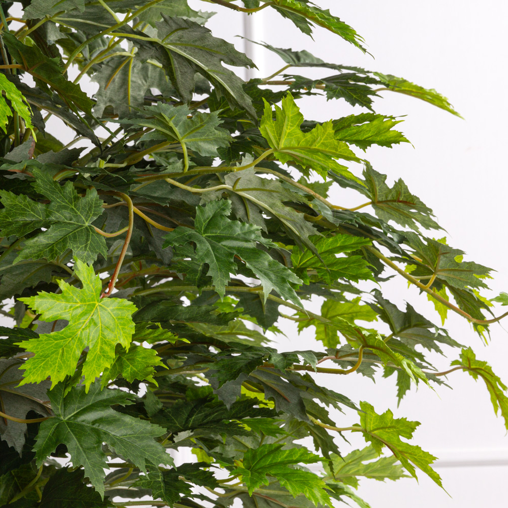 170/РН/77(з)(Пр) Клен искусственный канадский h170см_2