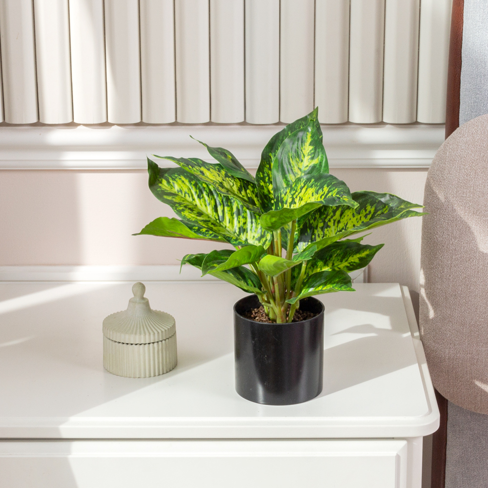 ЦС1655-1(F) Калатея искусственная пестрая_1