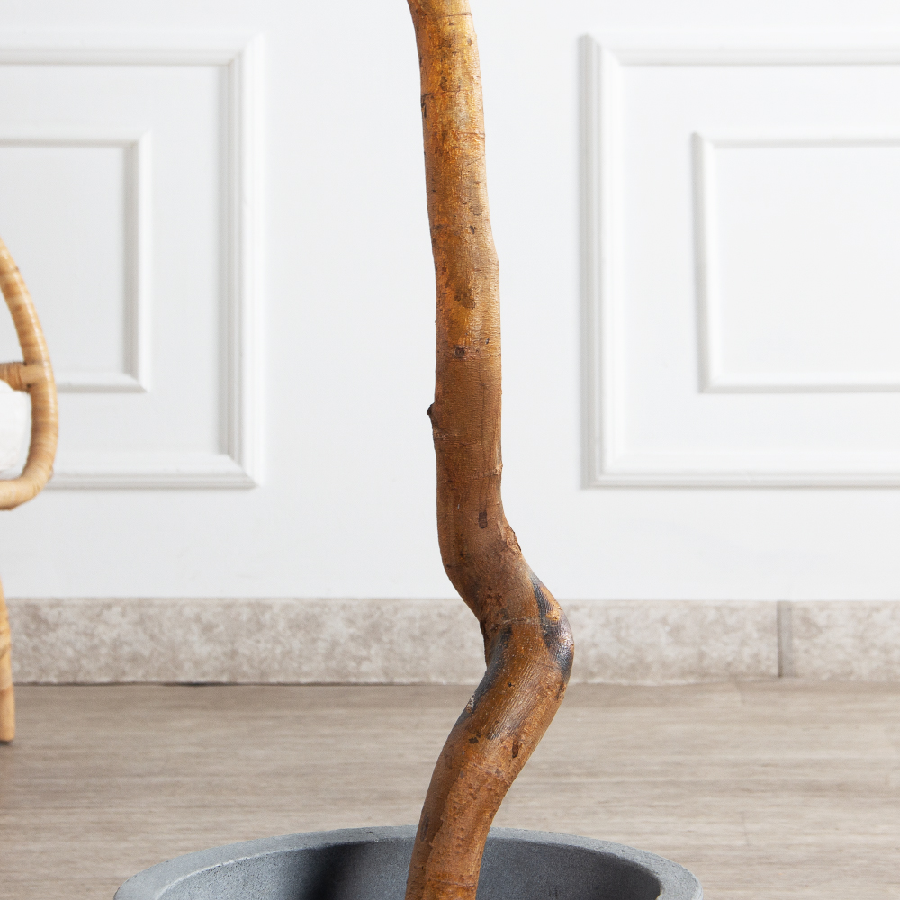 130/ВИТ/497/20М(Пр)(F) Лимон искусственный h130см (латекс)_5