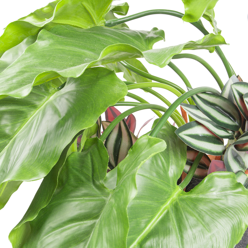 БК 31 Композиция с традесканцией на блоке 15*h10_3