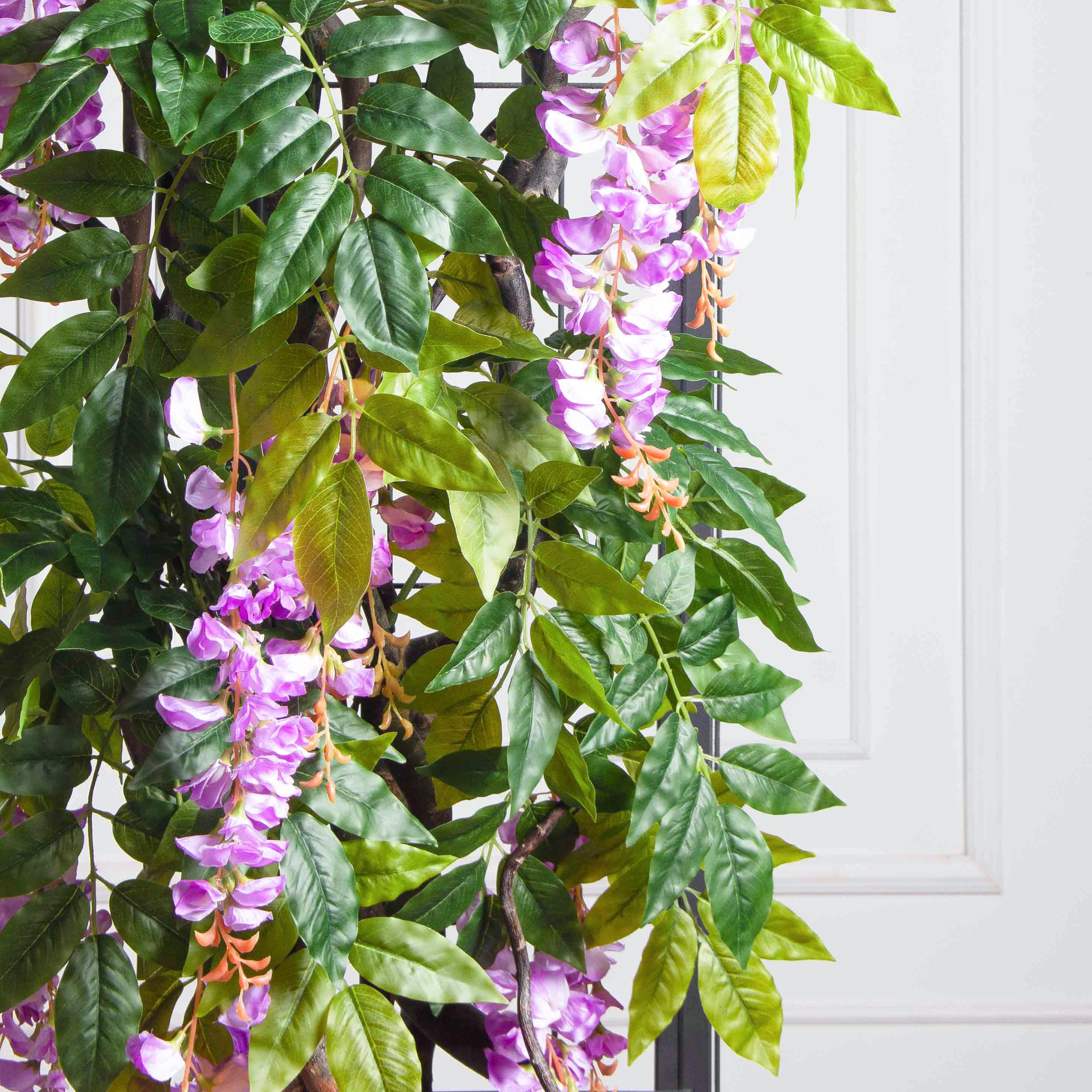 ДЛ163(Пр)(Fix)(F) Декор входной группы с глицинией h270см_4