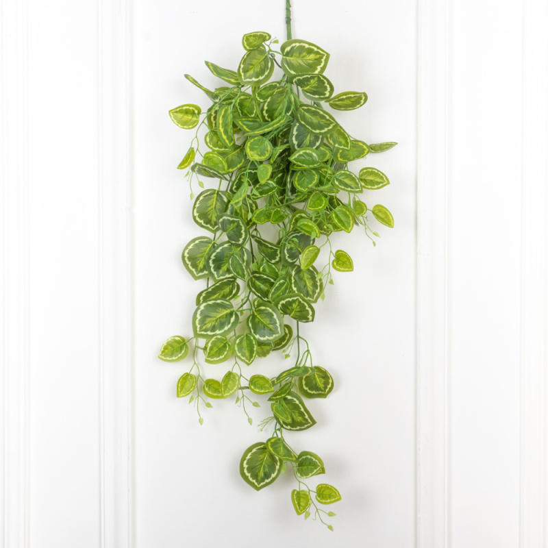 7144/0046-14Р Плющ маранта искусственный h100см (латекс), желто-зеленый