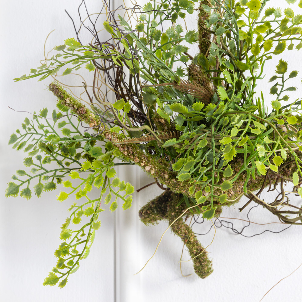 7143/0411-14(F) Корень замшелый с адиантумом h30см_1