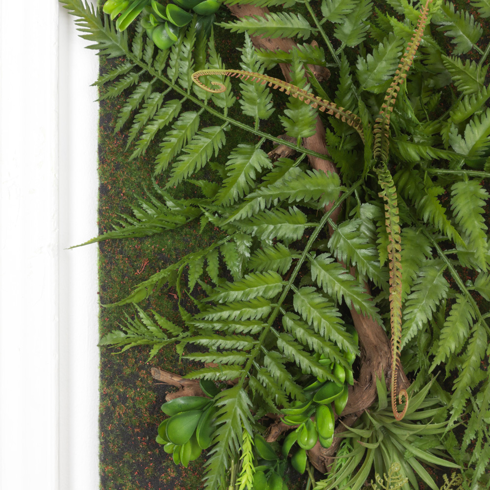 ФК01(з.) Фитокартина с папоротником (44х-h105см)_7