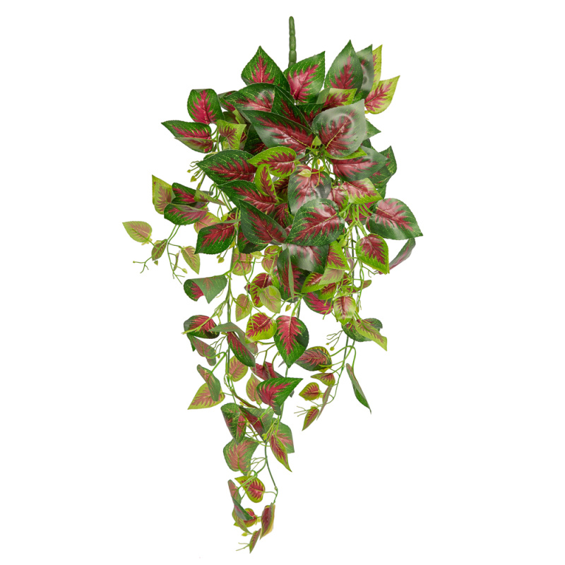 7144/0046-5Р Плющ Колеос (латекс)(красн./золот.)_4