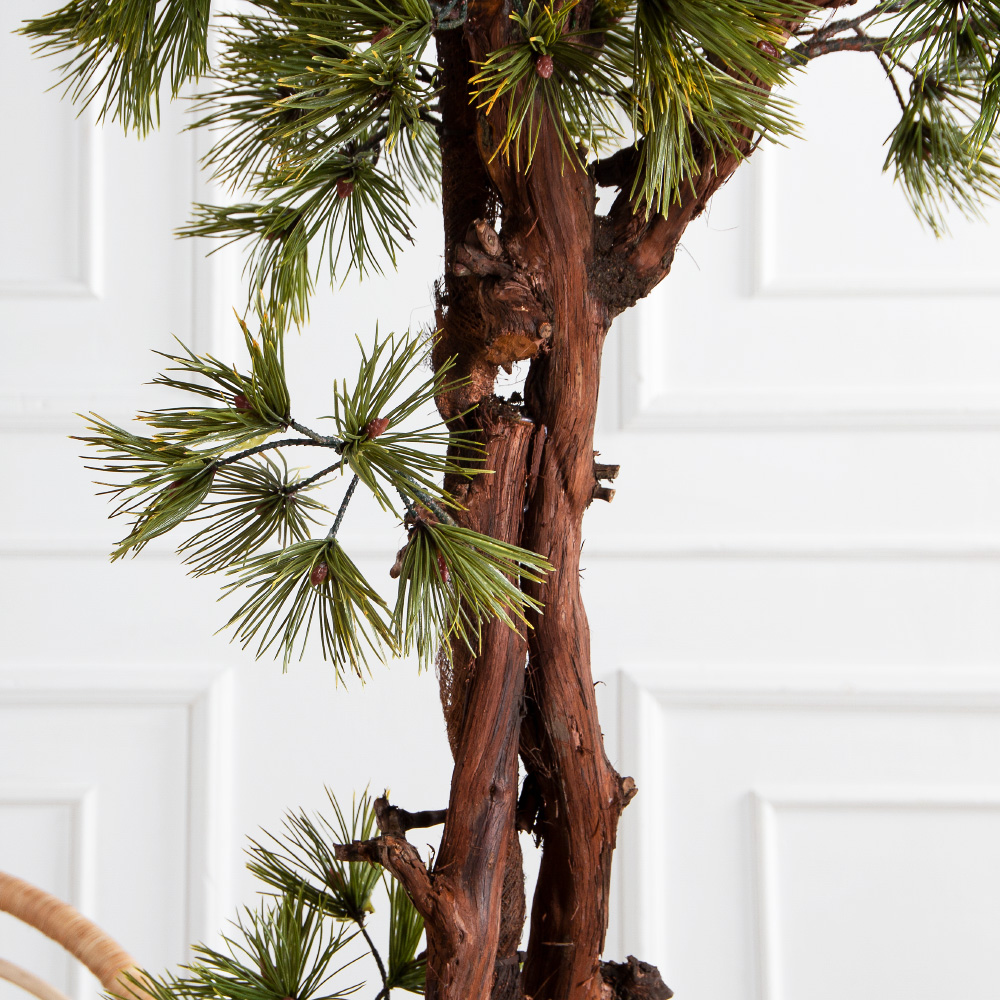 БС185/ОС/30-1(з)(F) Бонсай искусственный Сосна h185см_5