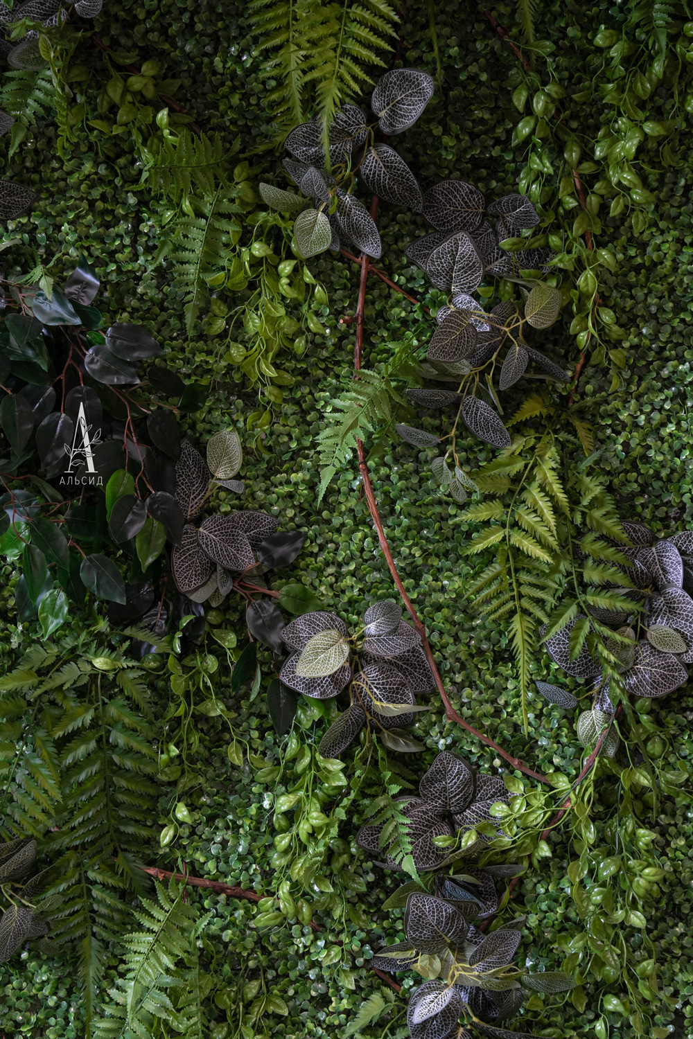 ФТС126 Фитостена Самшит с папоротником на металлической сетке, за 1кв.м_4