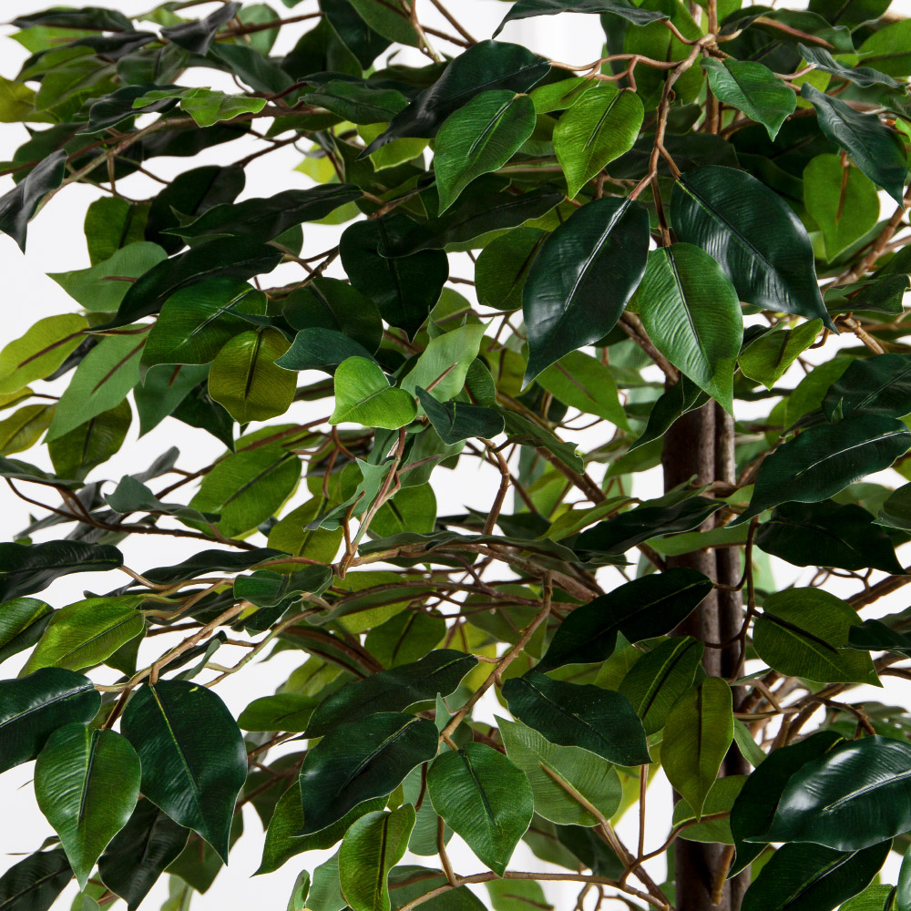 180/РН/ЭК/34(Пр)(F) Фикус искусственный h180см,(латекс)_7