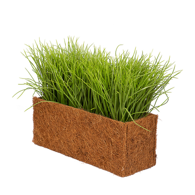 ТД058-20(з.) Трава Осока h18-20см в кокосовом боксе (36*14*h15см)_4
