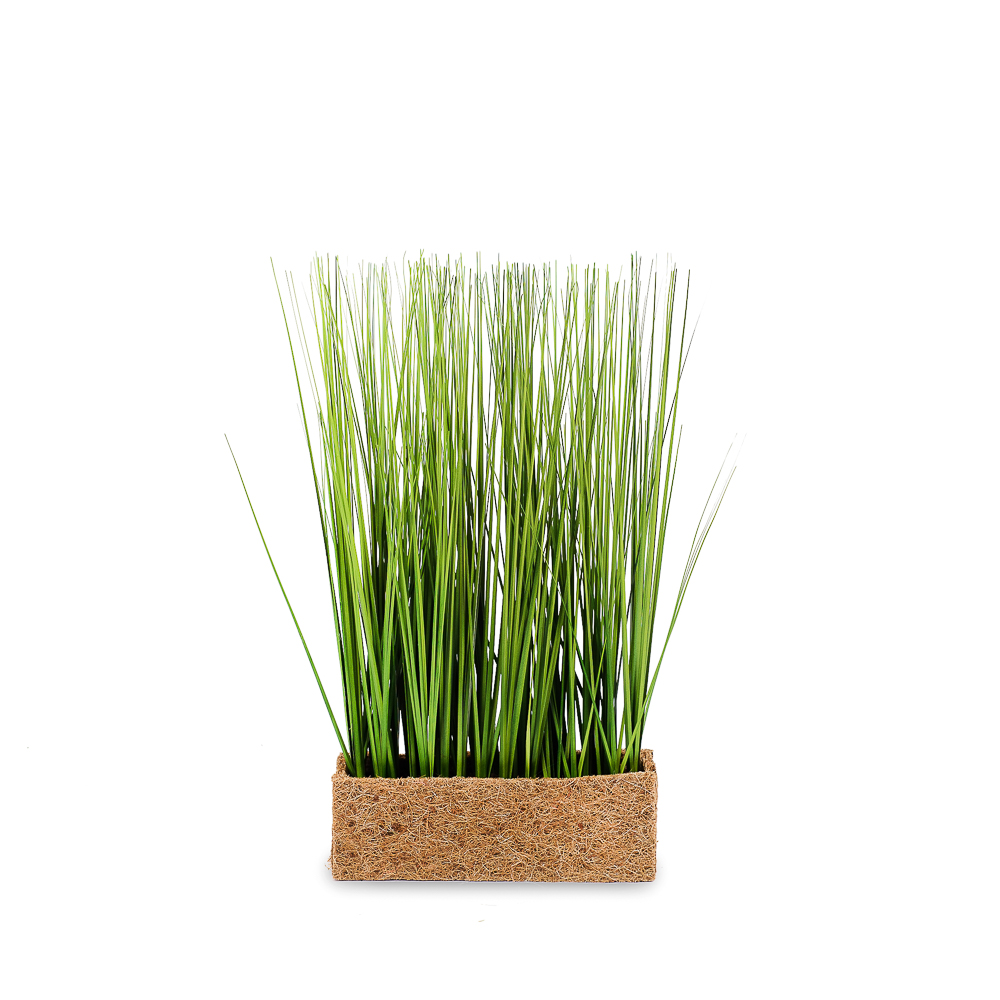 ТД046 Трава Осока  h-40см в кокос. боксе (25*8*8)