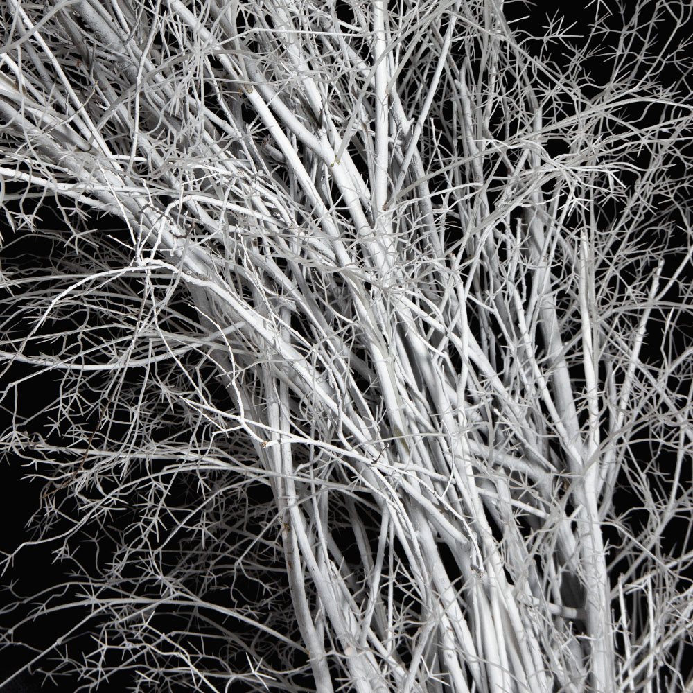 ДА09(з)(F) Декоративная искусственная арка с белыми ветками  350х280см_5