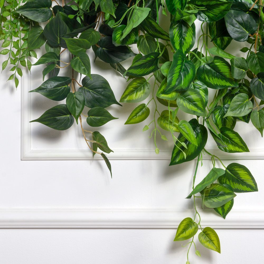 Л62-3(Пр)(F) Лиана со сциндапсусом L100см_2