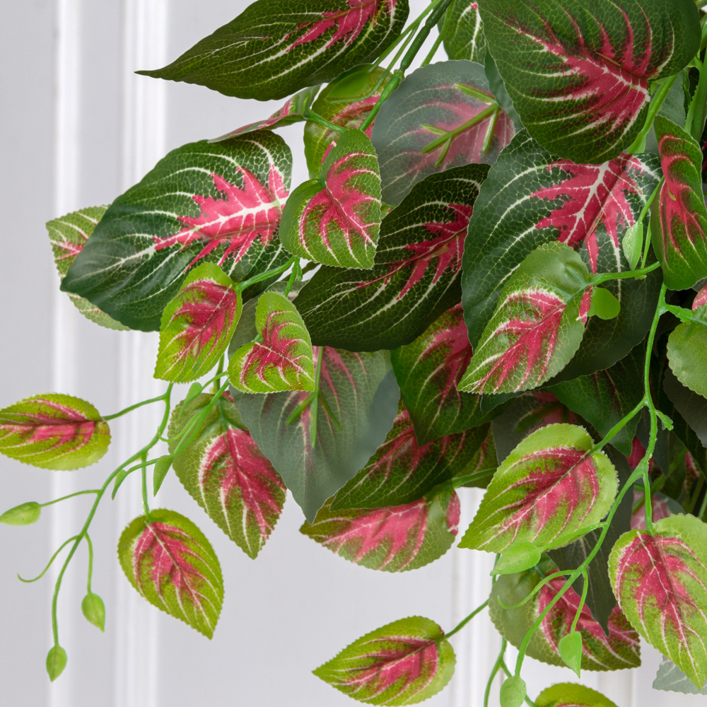 7144А/0016-353(F) Плющ колеус искусственный 9 частей h100см (латекс), красно-зеленый_1