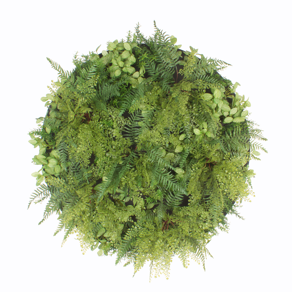 ФП06 Фитопанно искусственное с подсветкой d89см_2