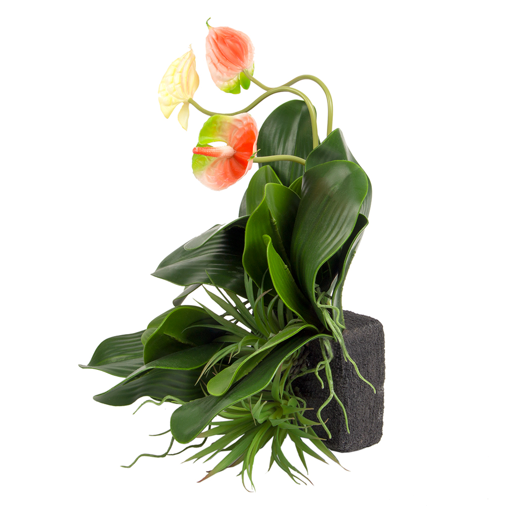 БК 23 Композиция с антуриумом на блоке 15*h10_2