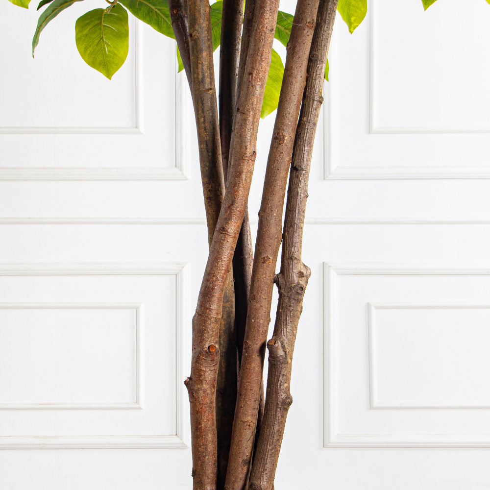 250/РН/537(з)(F) Липа искусственная h250см в кашпо (латекс)_5