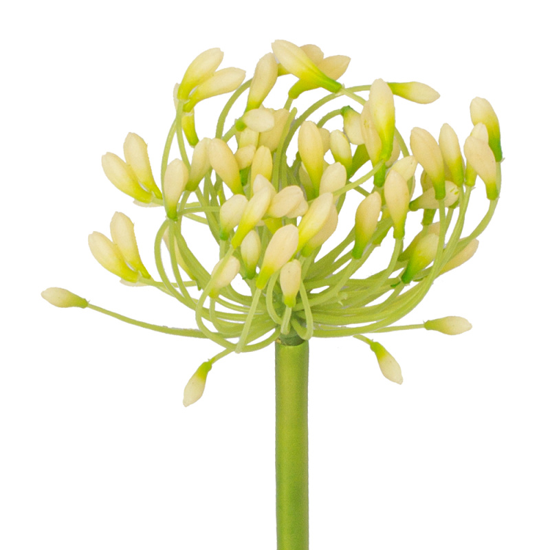 7141/0443-2/23Р Аллиум искусственный, h80см, белый