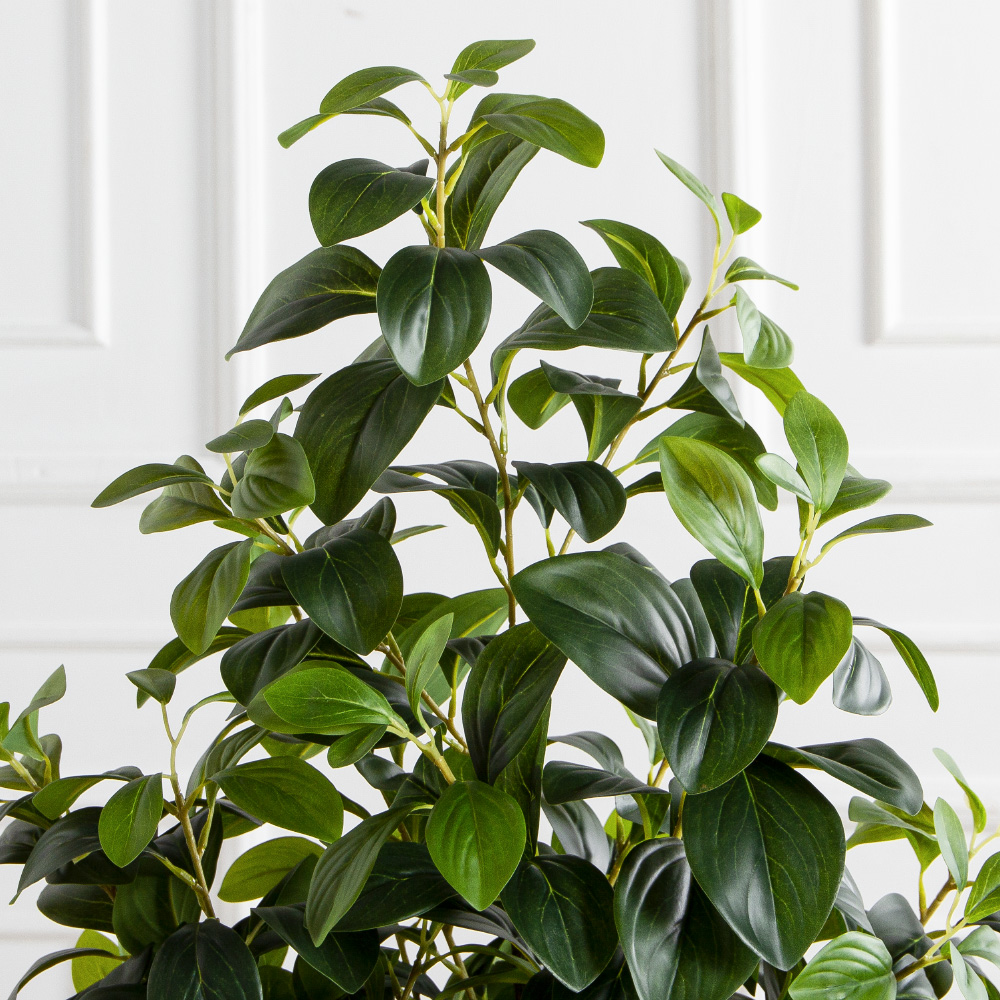 150/ДК/707(Пр)(F) Рускус искусственный куст h150см_3