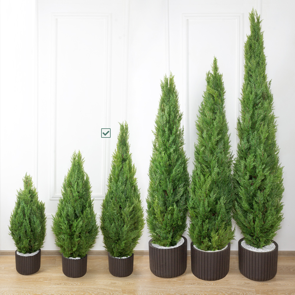 Т150/Э/201(Promo)_3