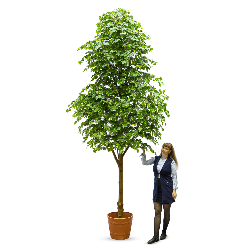 400Разб/РН-П/34(з.)_1