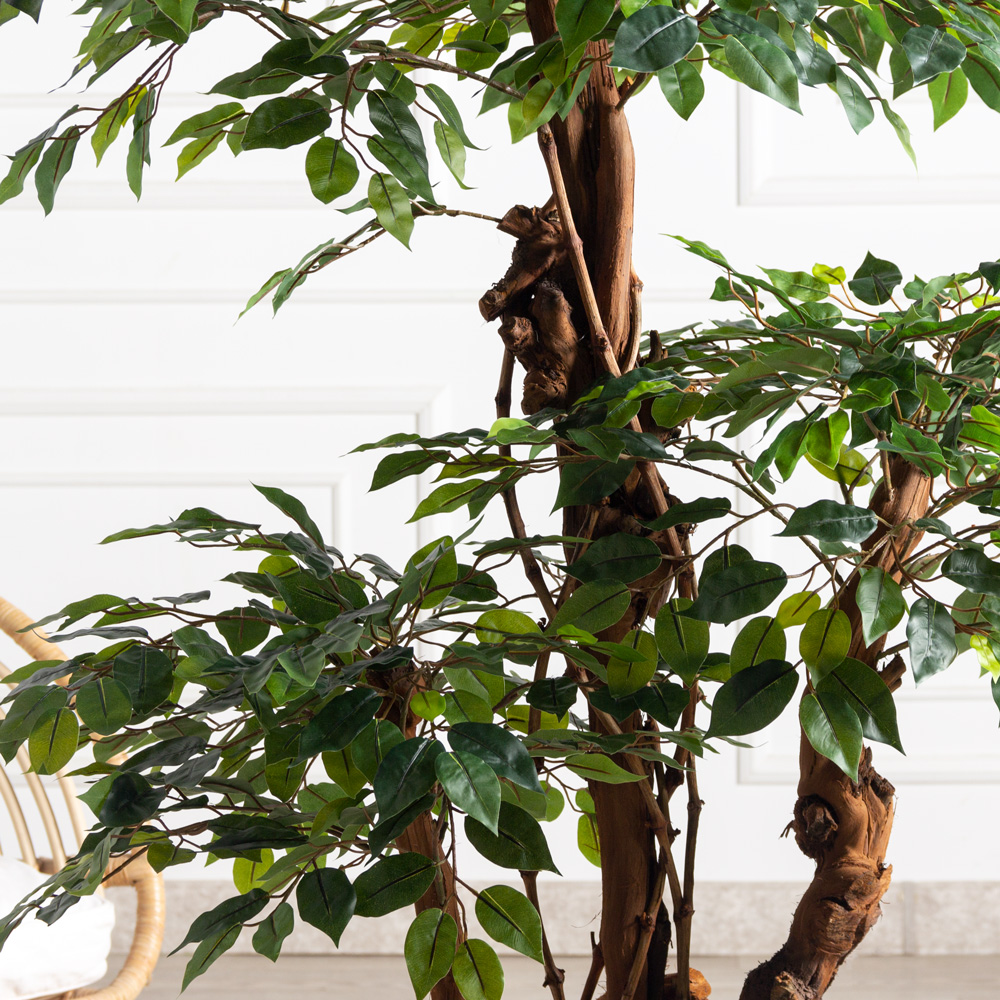 170/3К/ОС/Р/34(з)(Пр)(F) Фикус искусственный  h170см (латекс)_2